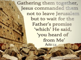 Acts 1-4 Do Not Leave Jerusalem But Wait beige